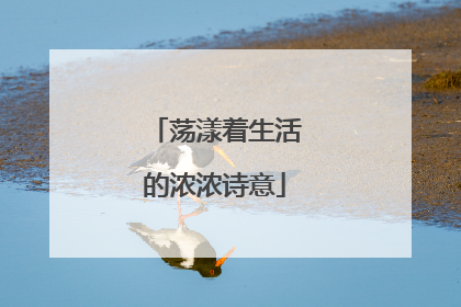 荡漾着生活的浓浓诗意