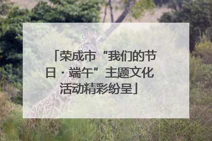 荣成市“我们的节日・端午”主题文化活动精彩纷呈
