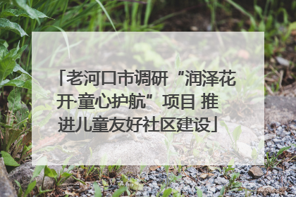 老河口市调研“润泽花开·童心护航”项目 推进儿童友好社区建设