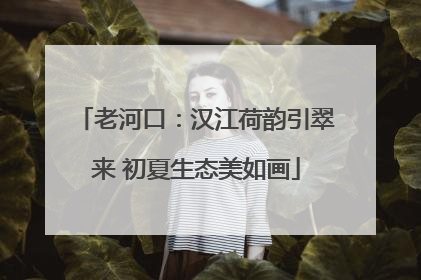老河口：汉江荷韵引翠来 初夏生态美如画