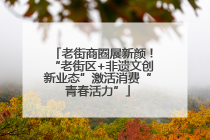 老街商圈展新颜！“老街区+非遗文创新业态”激活消费“青春活力”