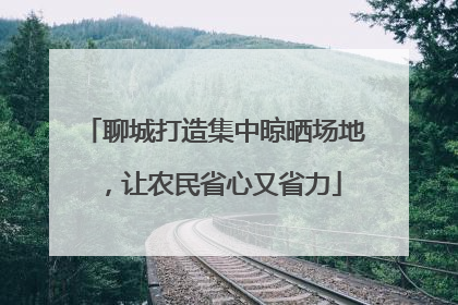 聊城打造集中晾晒场地，让农民省心又省力