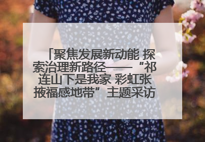 聚焦发展新动能 探索治理新路径——“祁连山下是我家 彩虹张掖福感地带”主题采访活动走进山丹
