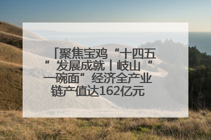 聚焦宝鸡“十四五”发展成就丨岐山“一碗面”经济全产业链产值达162亿元 入选全国典型县