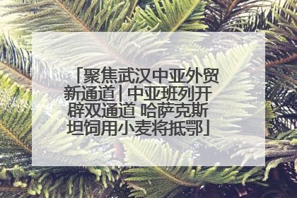 聚焦武汉中亚外贸新通道│中亚班列开辟双通道 哈萨克斯坦饲用小麦将抵鄂