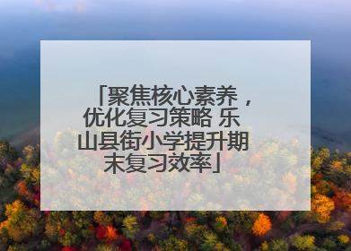聚焦核心素养，优化复习策略 乐山县街小学提升期末复习效率
