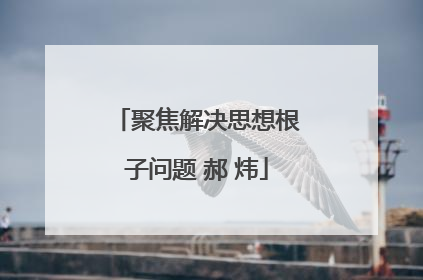 聚焦解决思想根子问题 郝 炜