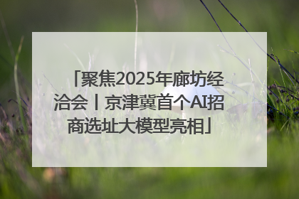 聚焦2025年廊坊经洽会丨京津冀首个AI招商选址大模型亮相