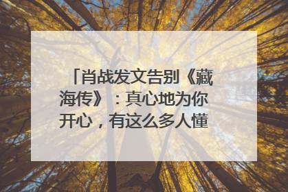 肖战发文告别《藏海传》：真心地为你开心，有这么多人懂你，导演回应“是否有第二季”