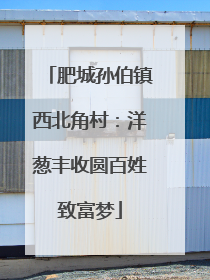 肥城孙伯镇西北角村：洋葱丰收圆百姓致富梦