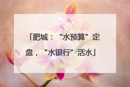 肥城：“水预算”定盘，“水银行”活水