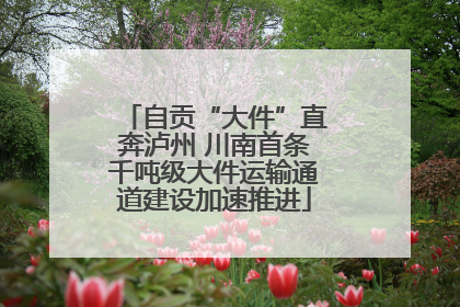 自贡“大件”直奔泸州 川南首条千吨级大件运输通道建设加速推进