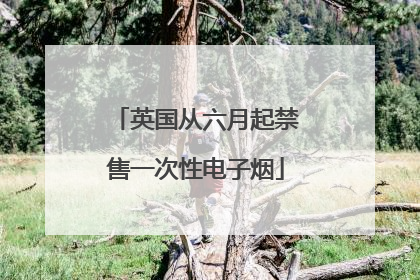 英国从六月起禁售一次性电子烟