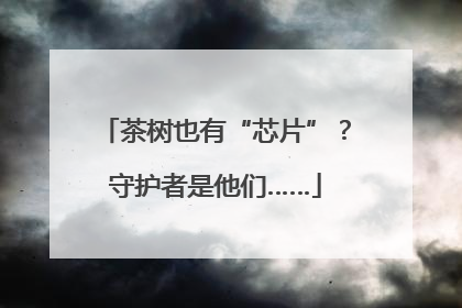 茶树也有“芯片”？守护者是他们……