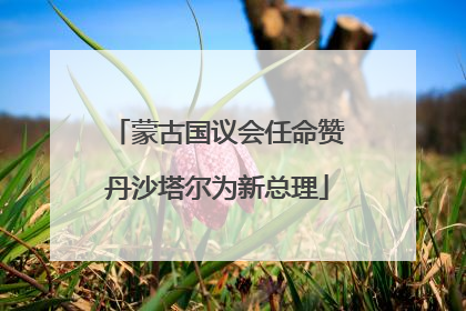 蒙古国议会任命赞丹沙塔尔为新总理