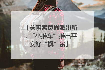 蒙阴孟良崮派出所：“小推车”推出平安好“枫”景