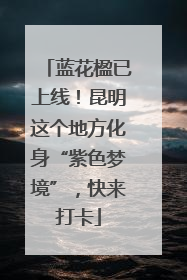 蓝花楹已上线！昆明这个地方化身“紫色梦境”，快来打卡