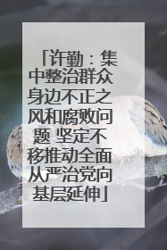 许勤：集中整治群众身边不正之风和腐败问题 坚定不移推动全面从严治党向基层延伸