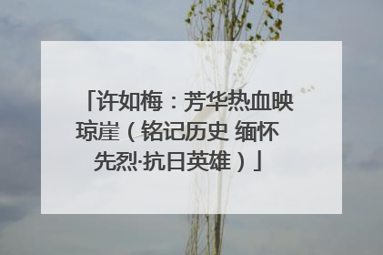 许如梅：芳华热血映琼崖（铭记历史 缅怀先烈·抗日英雄）