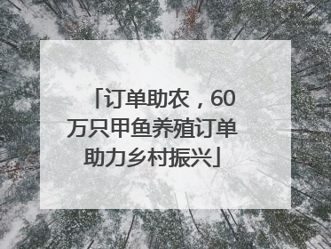 订单助农，60万只甲鱼养殖订单助力乡村振兴