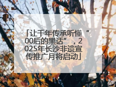 让千年传承听懂“00后的黑话”,2025年长沙非遗宣传推广月将启动