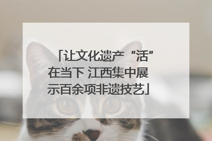 让文化遗产“活”在当下 江西集中展示百余项非遗技艺