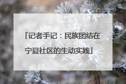 记者手记：民族团结在宁夏社区的生动实践