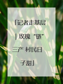 记者走基层｜玫瑰“链”三产 村民日子甜