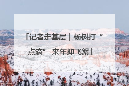 记者走基层｜杨树打“点滴” 来年抑飞絮