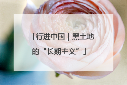 行进中国｜黑土地的“长期主义”