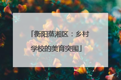 衡阳蒸湘区：乡村学校的美育突围