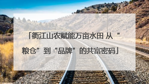 衢江山农赋能万亩水田 从“粮仓”到“品牌”的共富密码