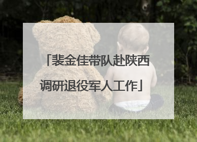 裴金佳带队赴陕西调研退役军人工作