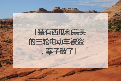 装有西瓜和蒜头的三轮电动车被盗，案子破了