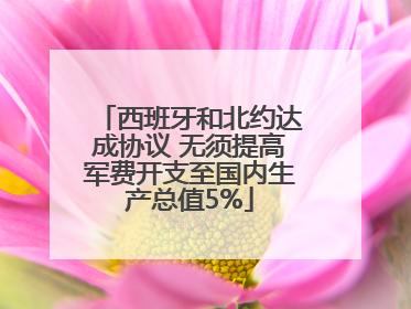 西班牙和北约达成协议 无须提高军费开支至国内生产总值5%