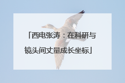 西电张涛：在科研与镜头间丈量成长坐标