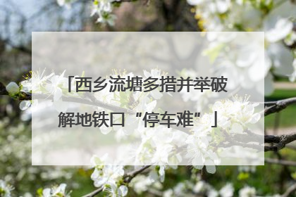 西乡流塘多措并举破解地铁口“停车难”