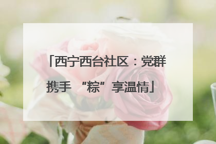 西宁西台社区：党群携手 “粽”享温情