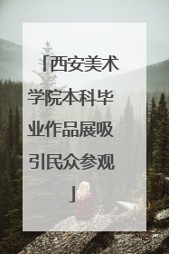西安美术学院本科毕业作品展吸引民众参观