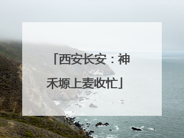 西安长安：神禾塬上麦收忙
