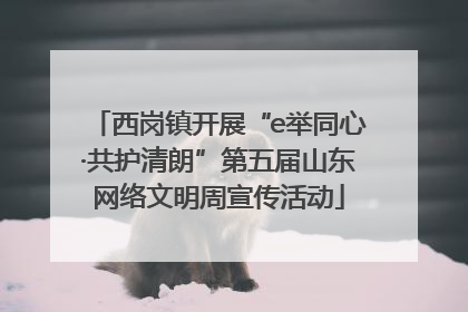 西岗镇开展“e举同心·共护清朗”第五届山东网络文明周宣传活动