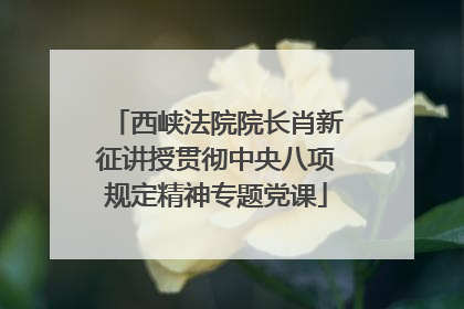 西峡法院院长肖新征讲授贯彻中央八项规定精神专题党课