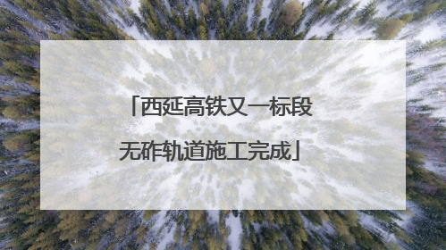 西延高铁又一标段无砟轨道施工完成