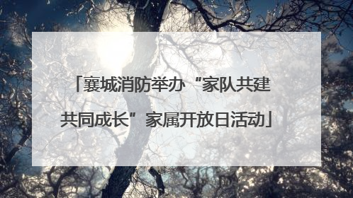 襄城消防举办“家队共建 共同成长”家属开放日活动