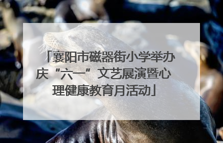 襄阳市磁器街小学举办庆“六一”文艺展演暨心理健康教育月活动