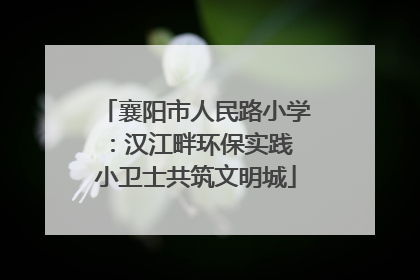 襄阳市人民路小学：汉江畔环保实践 小卫士共筑文明城
