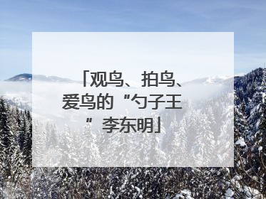 观鸟、拍鸟、爱鸟的“勺子王”李东明