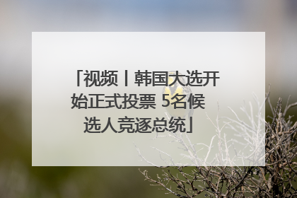 视频丨韩国大选开始正式投票 5名候选人竞逐总统