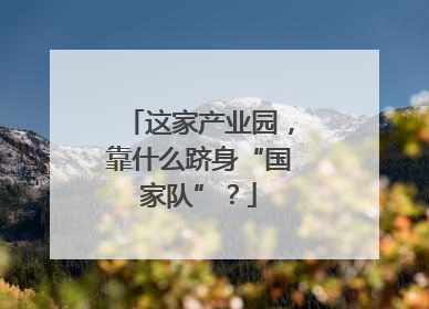这家产业园，靠什么跻身“国家队”？