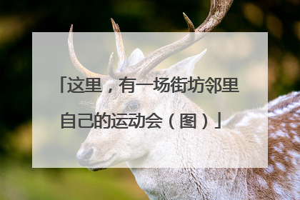 这里，有一场街坊邻里自己的运动会（图）